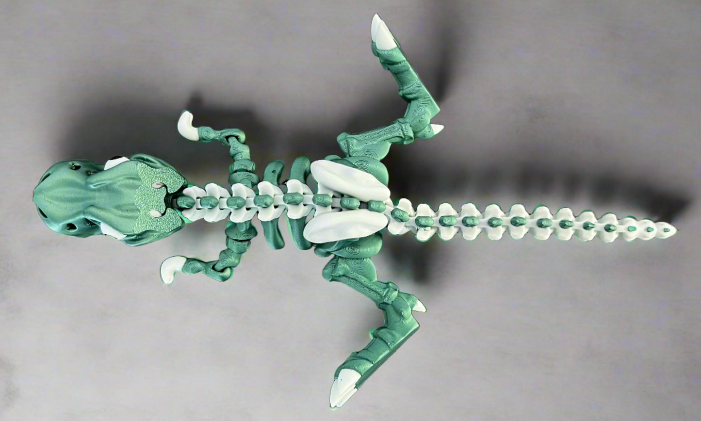 Articulated Tyrannosaurus Rex skeleton